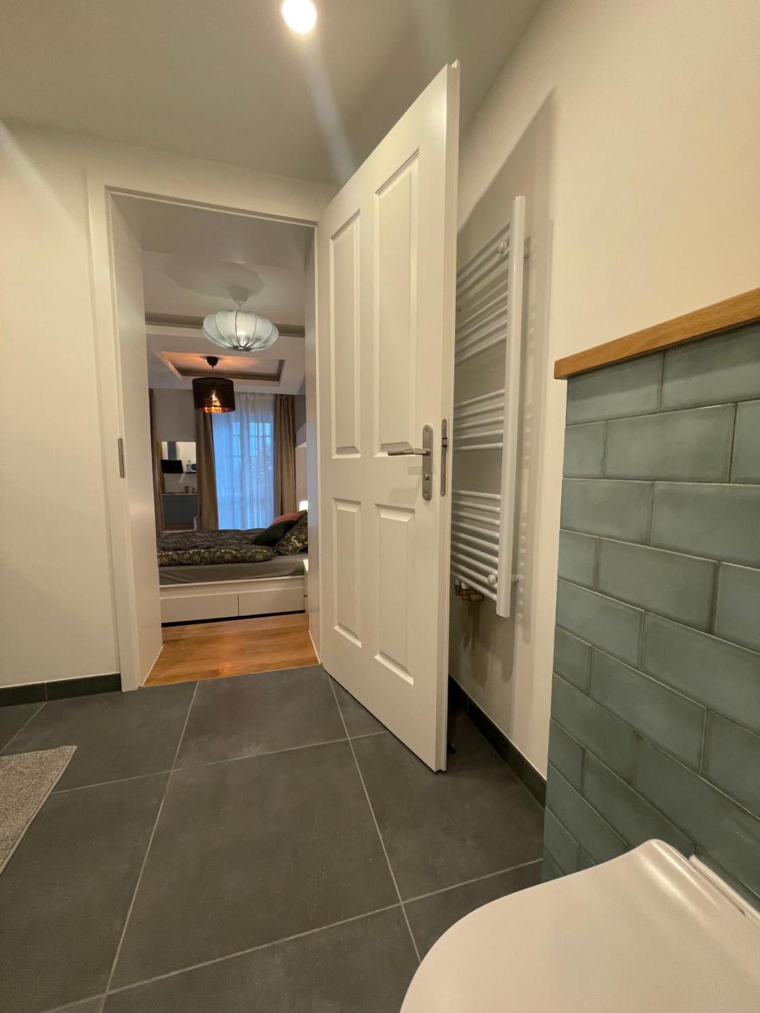Boutique Hotel Pension Luisengruen Kueche 1Gbs Wlan Netflix Disney Magentatv Chemnitz Exterior photo